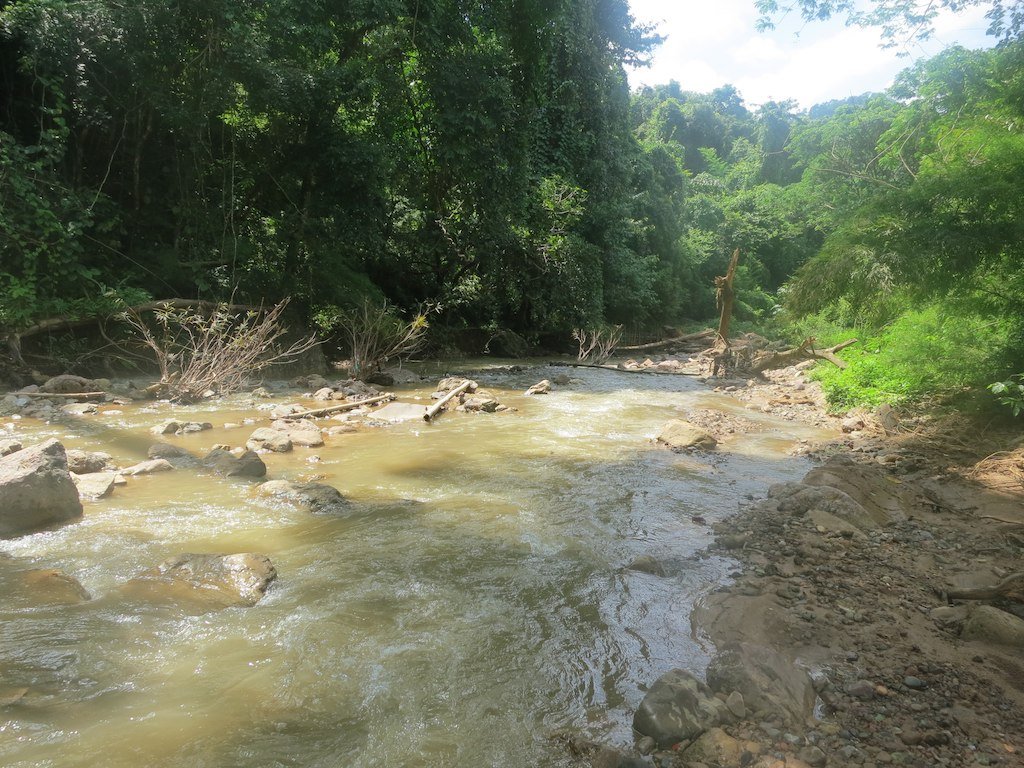 8073349533_5b0ef2b796_b.jpg 8073349533_5b0ef2b796_b.jpg