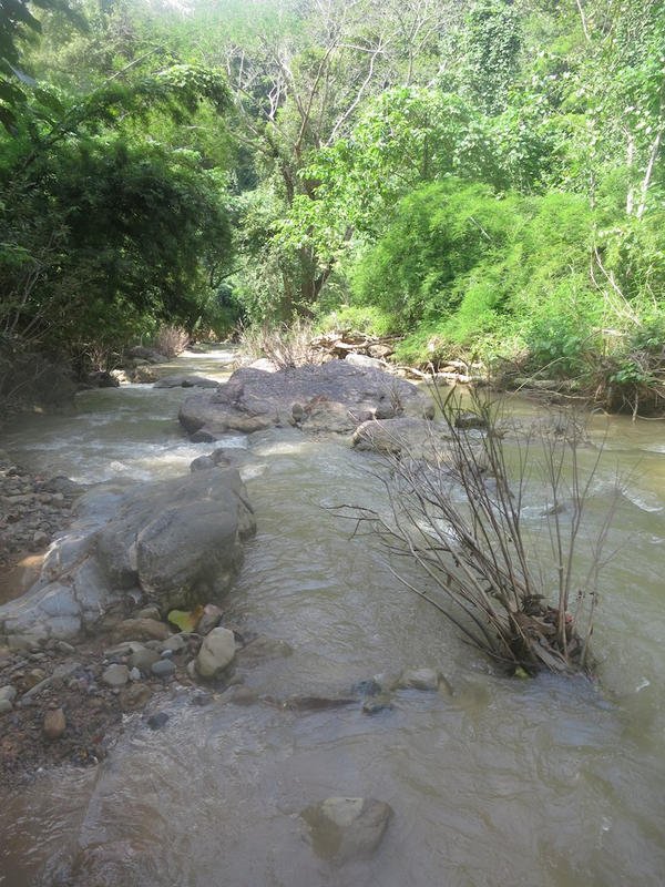 8073339910_7bc315b414_b.jpg 8073339910_7bc315b414_b.jpg