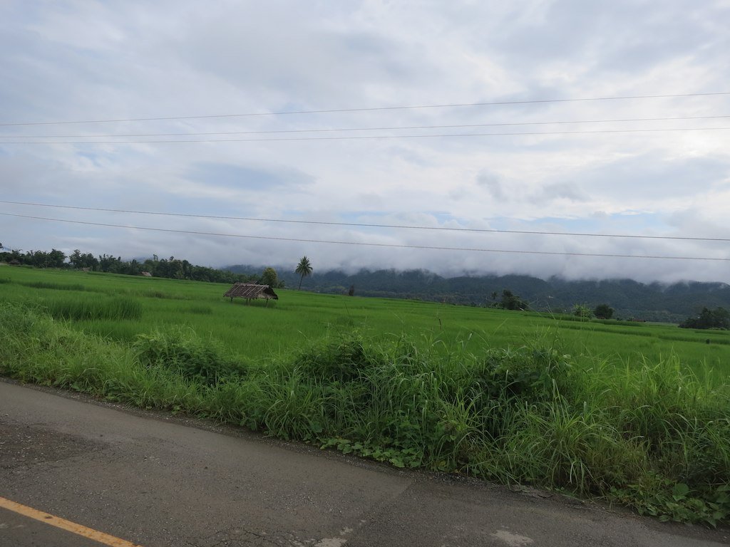 8073331726_73f3382ac2_b.jpg 8073331726_73f3382ac2_b.jpg