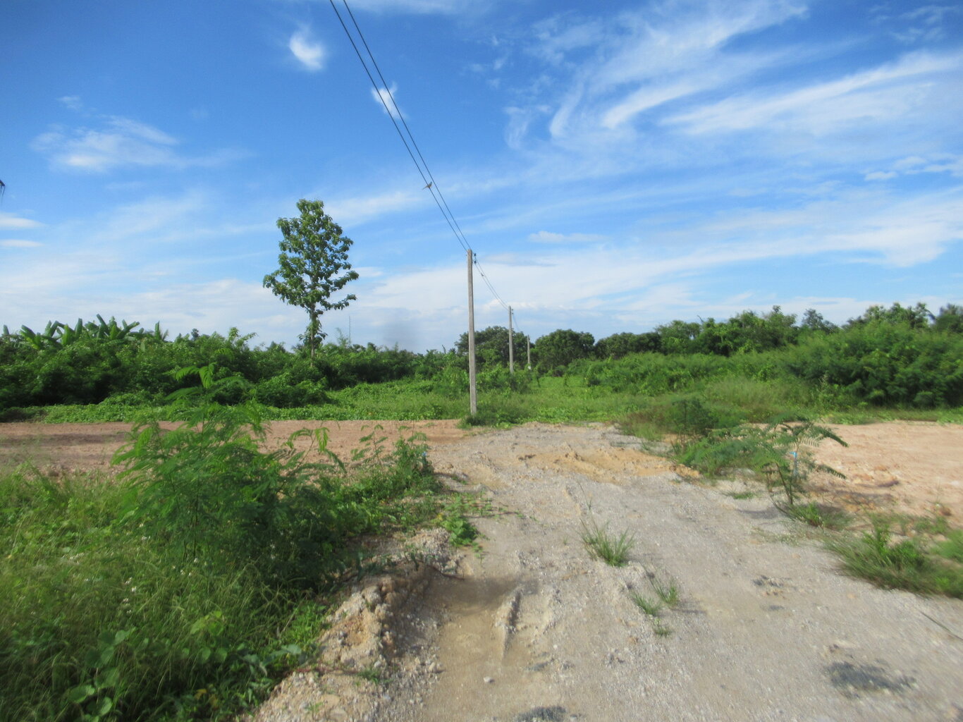 IMG_4549.JPG