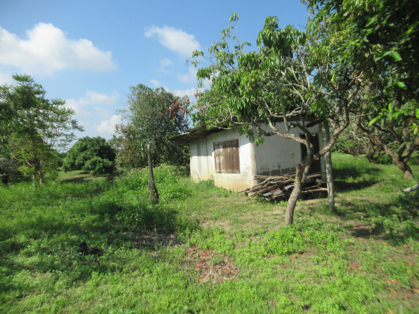IMG_5123.JPG