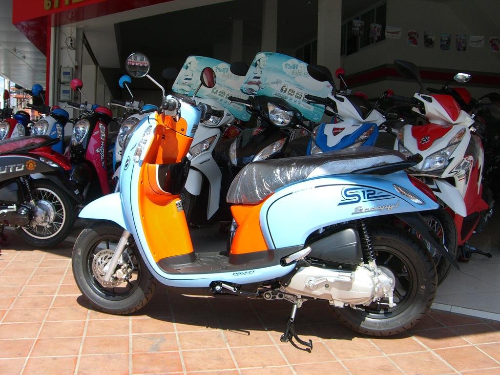 CIMG5451.jpg