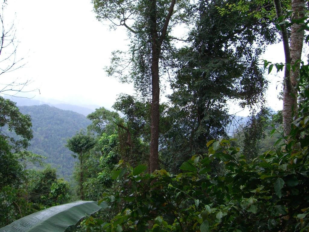 CIMG5491.jpg