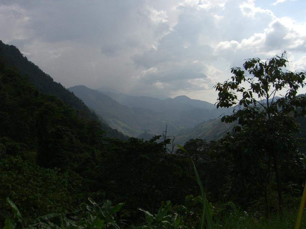 CIMG5502.jpg