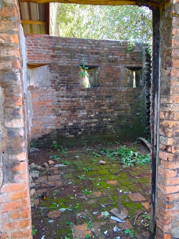 DSC04264.jpg DSC04264.jpg