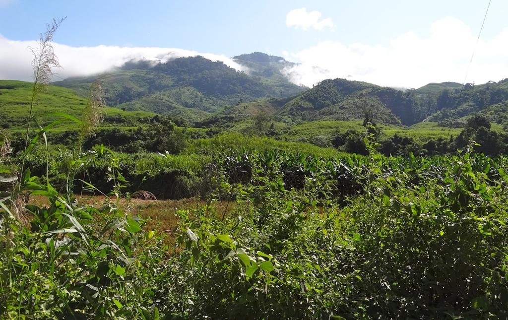 DSC04352.jpg DSC04352.jpg