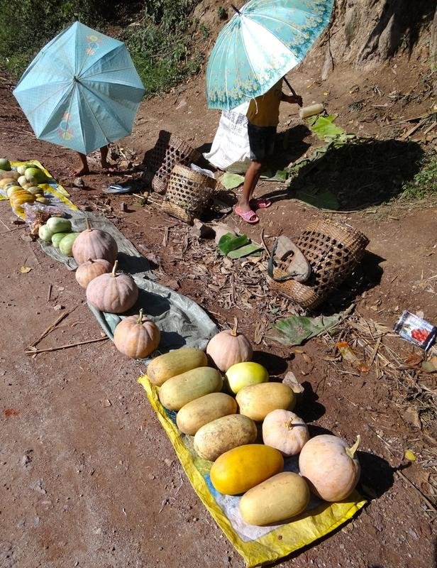 DSC04353.jpg DSC04353.jpg