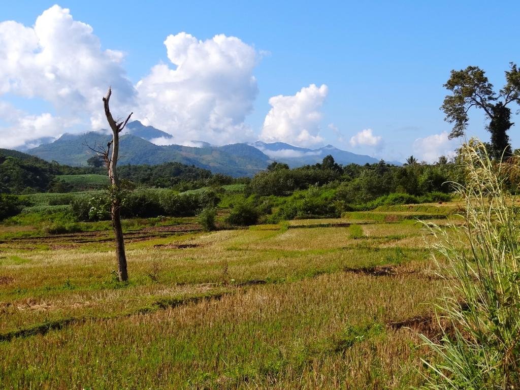 DSC04355.jpg DSC04355.jpg