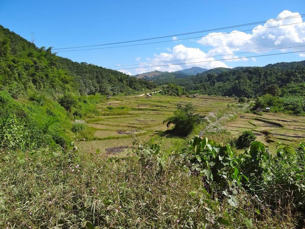 DSC04369.jpg DSC04369.jpg