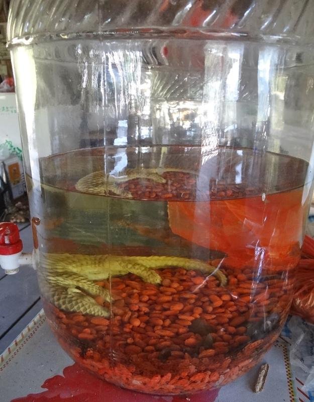 DSC04401.jpg DSC04401.jpg