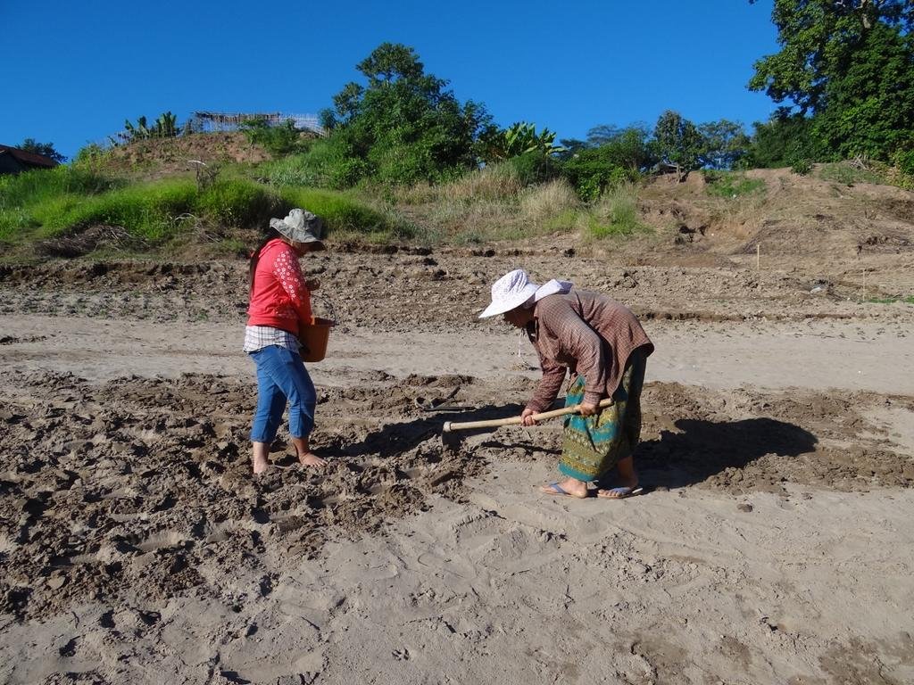 DSC04412.jpg DSC04412.jpg