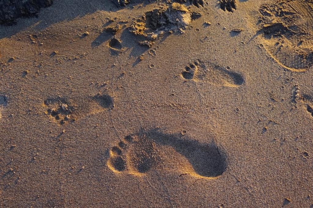 DSC04420.jpg DSC04420.jpg