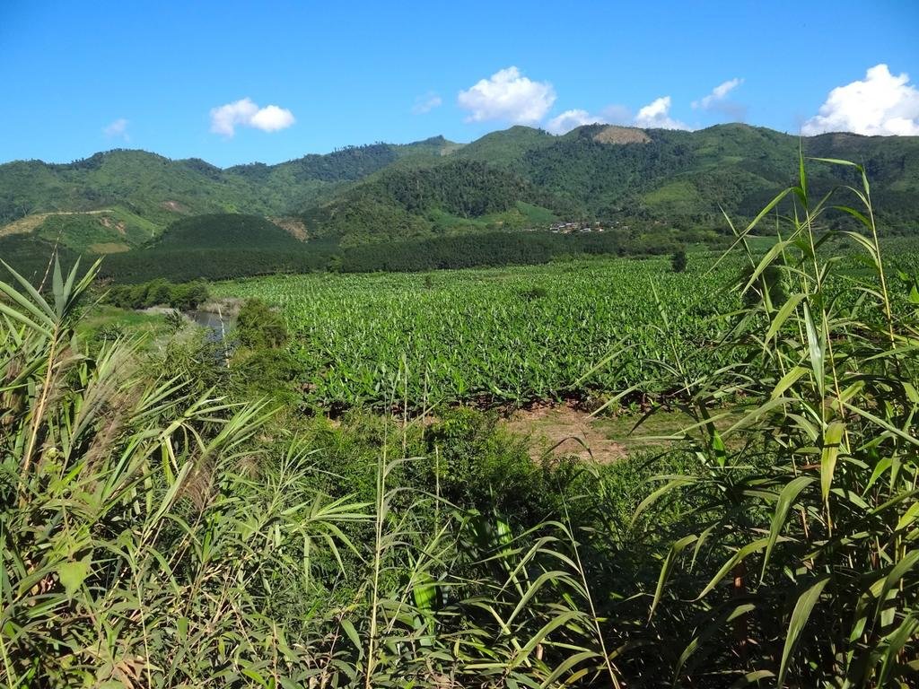 DSC04468.jpg DSC04468.jpg