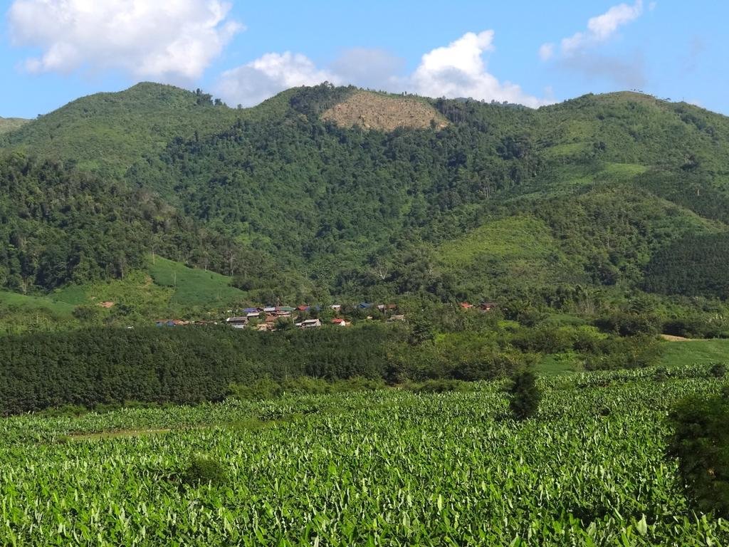 DSC04469.jpg DSC04469.jpg