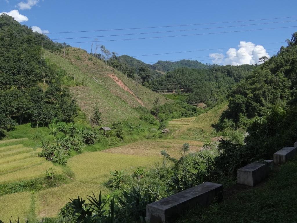 DSC04488.jpg DSC04488.jpg