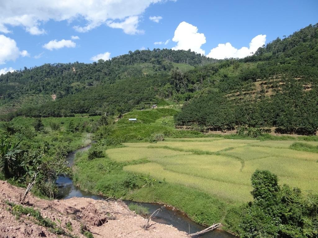 DSC04493.jpg DSC04493.jpg