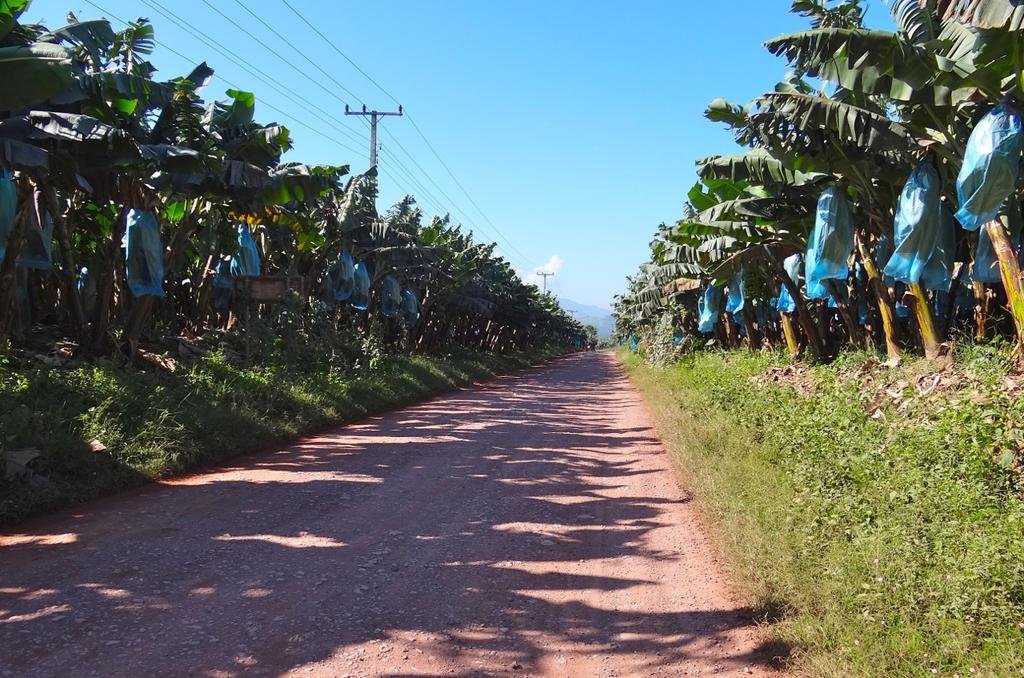 DSC04470.jpg DSC04470.jpg