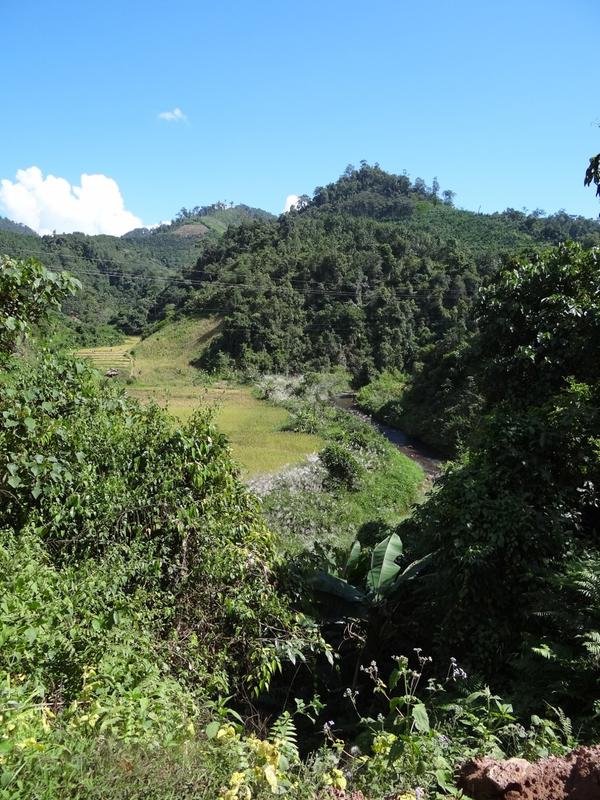 DSC04487.jpg DSC04487.jpg