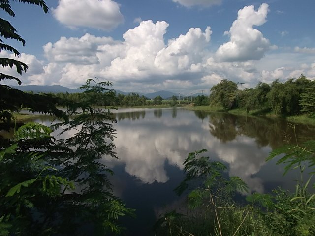 DSCF8767.jpg