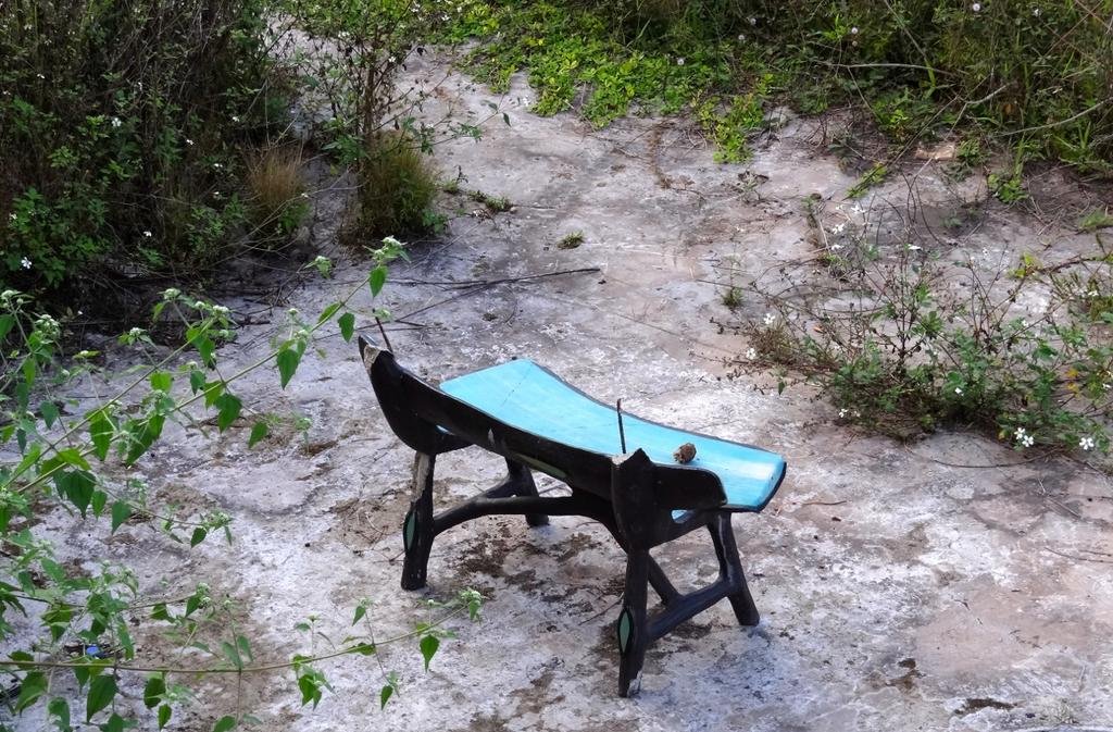 DSC04524.jpg DSC04524.jpg