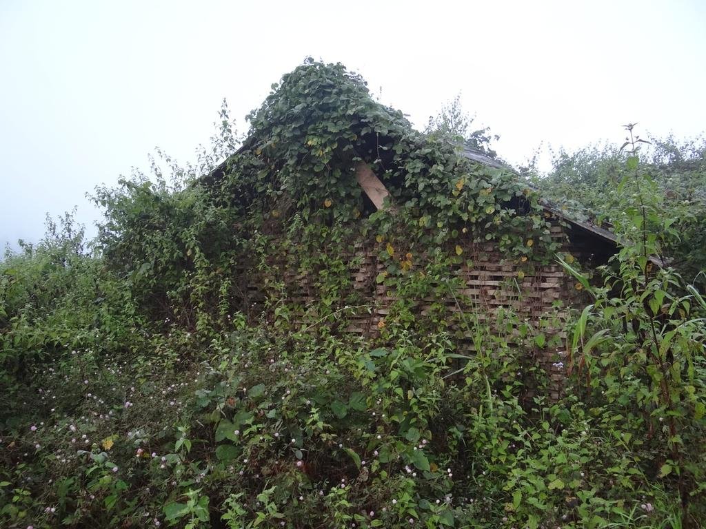 DSC04552.jpg DSC04552.jpg