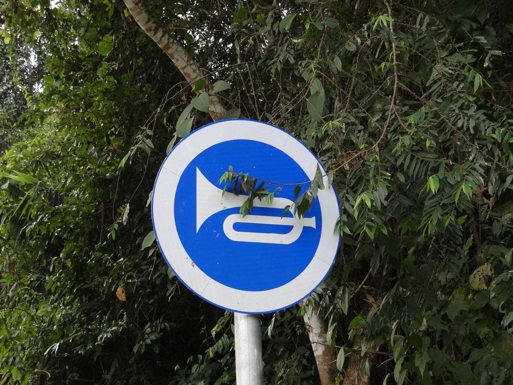 DSC04565.jpg DSC04565.jpg