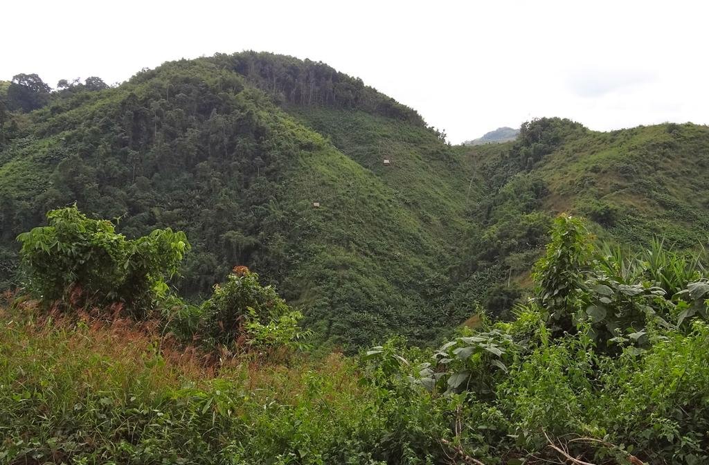 DSC04577.jpg DSC04577.jpg