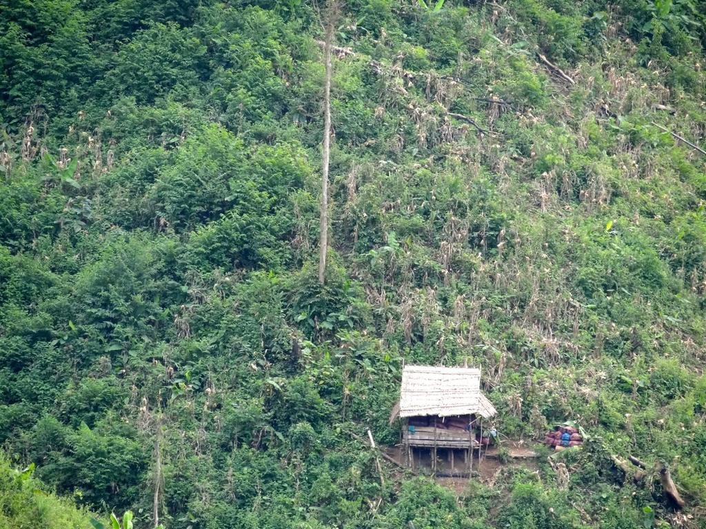 DSC04578.jpg DSC04578.jpg