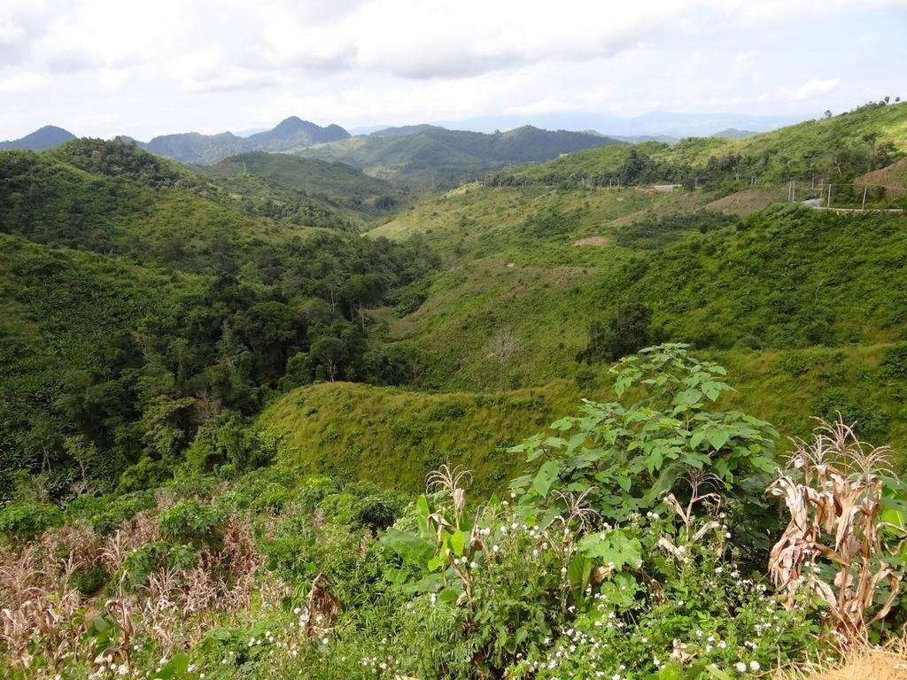 DSC04579.jpg DSC04579.jpg