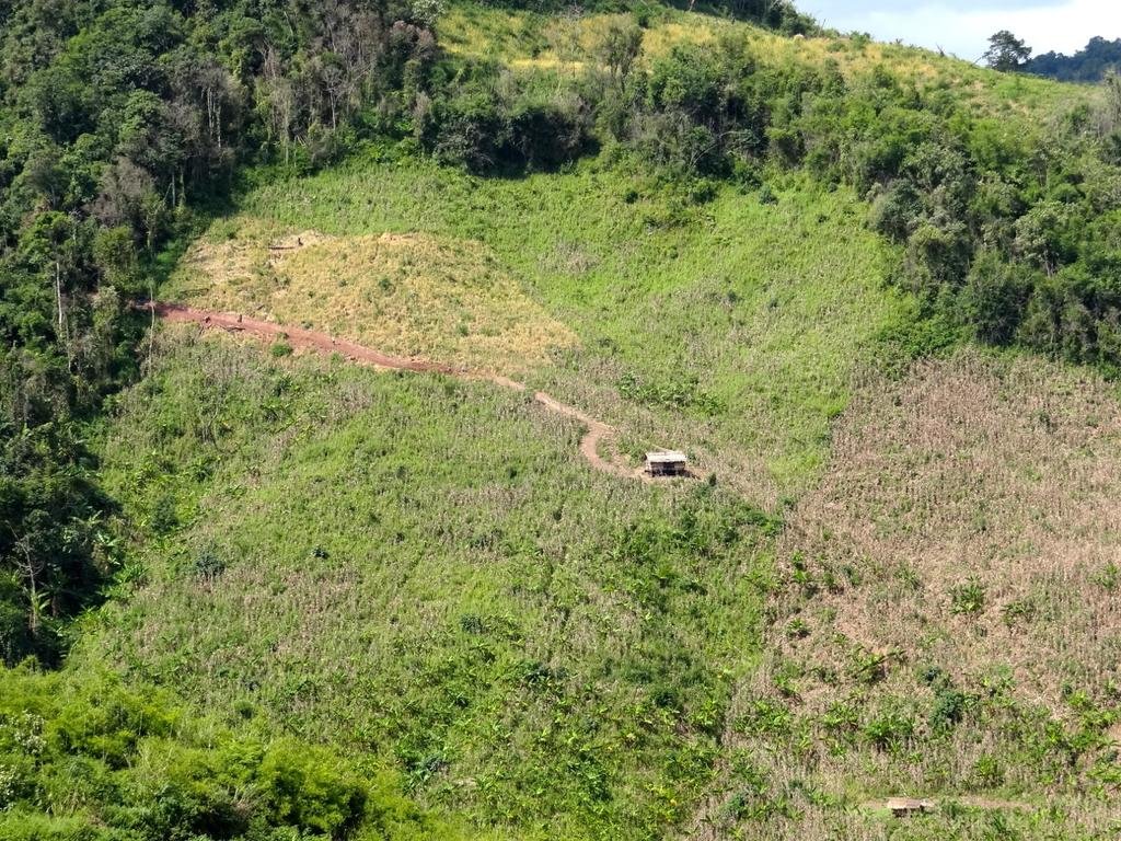 DSC04584.jpg DSC04584.jpg