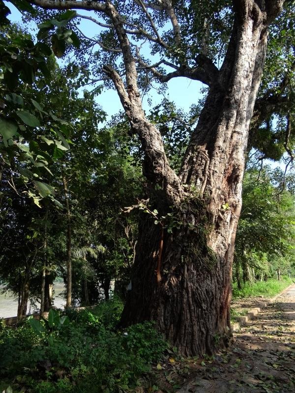 DSC04603.jpg DSC04603.jpg