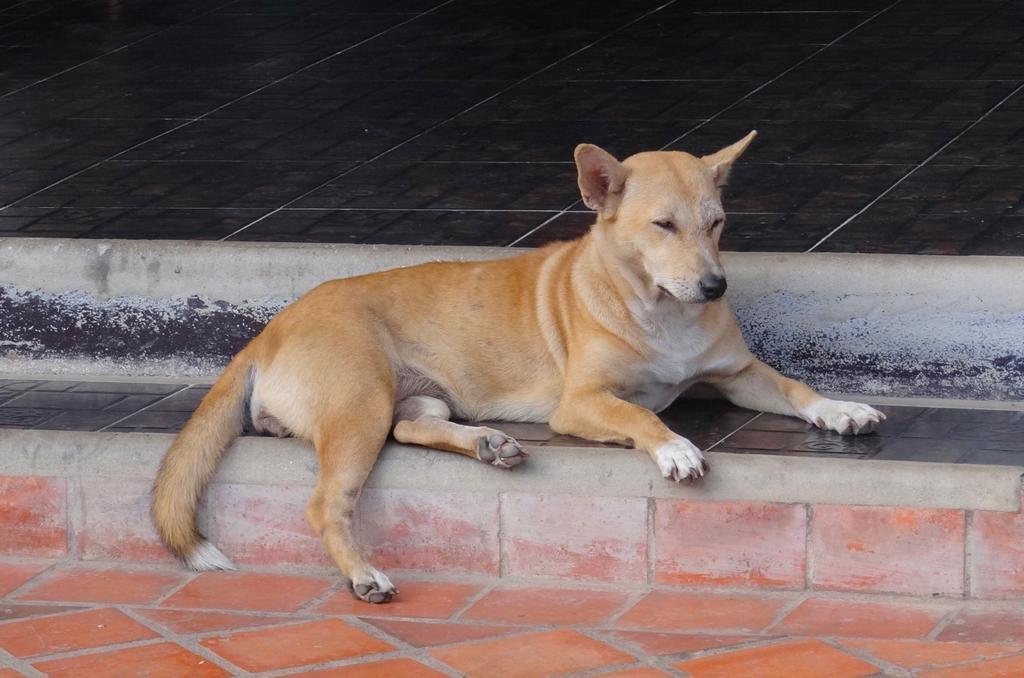 DSC04624.jpg DSC04624.jpg