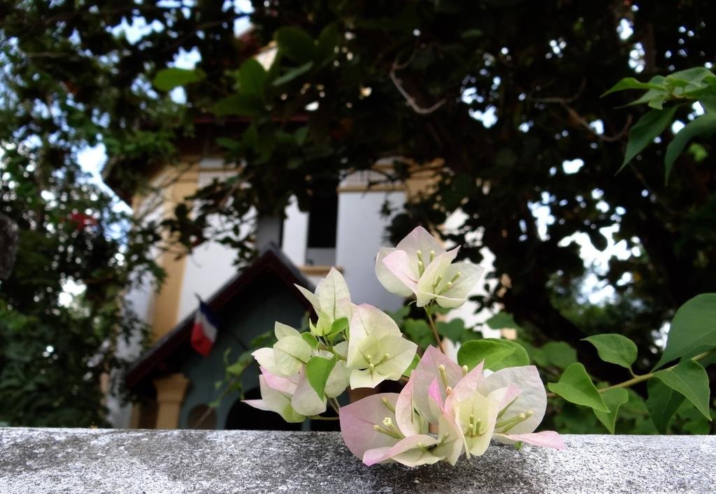 DSC04626.jpg DSC04626.jpg