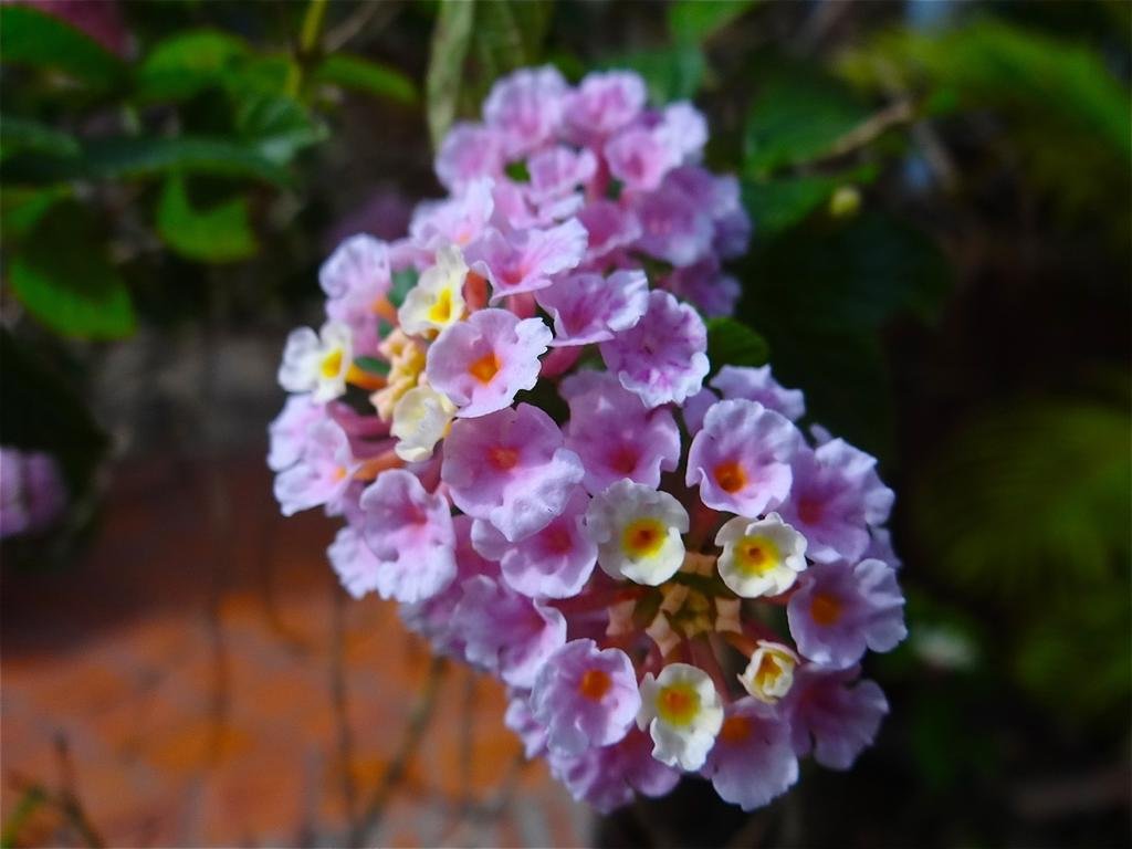 DSC04630.jpg DSC04630.jpg