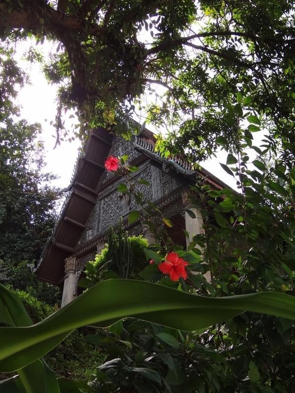 DSC04643.jpg DSC04643.jpg