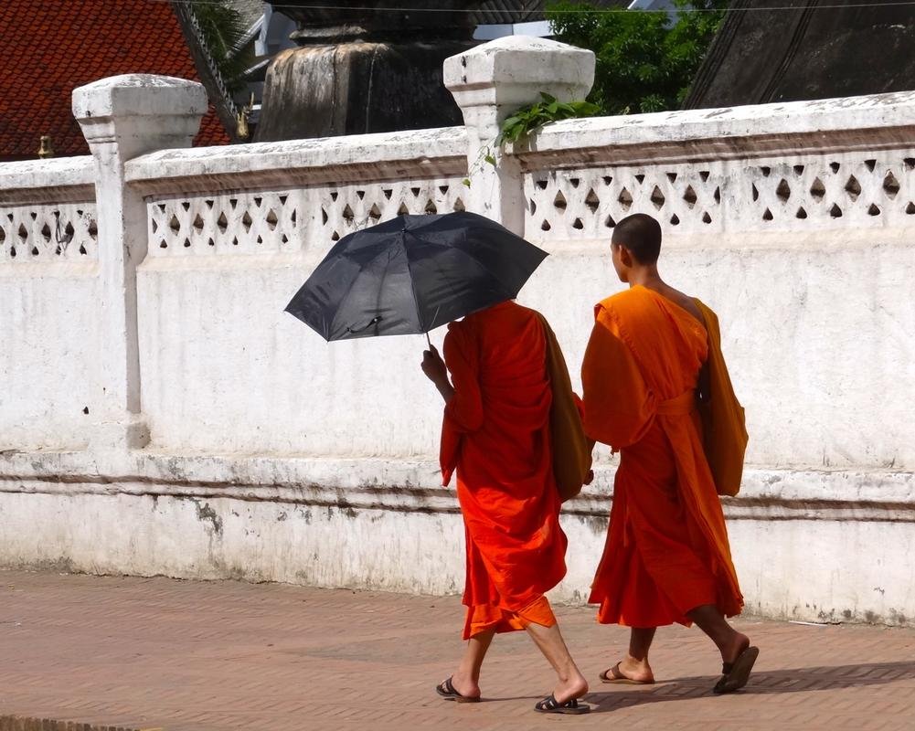 DSC04645.jpg DSC04645.jpg