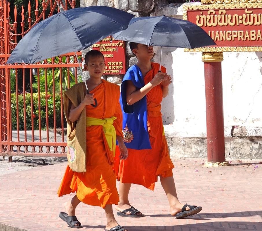 DSC04663.jpg DSC04663.jpg