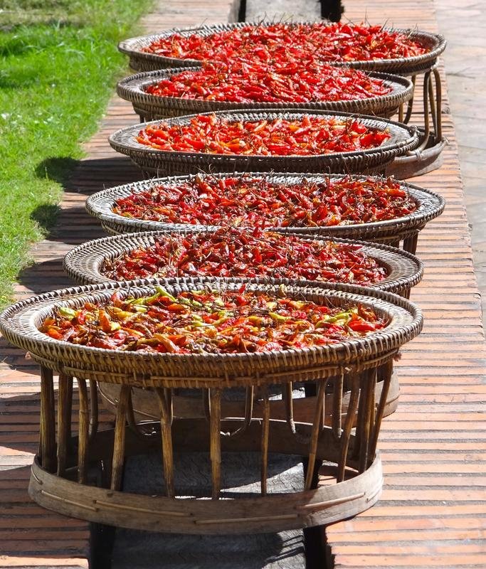 DSC04671.jpg DSC04671.jpg