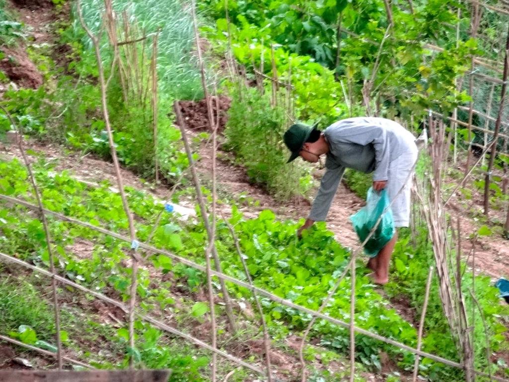 DSC04687.jpg DSC04687.jpg