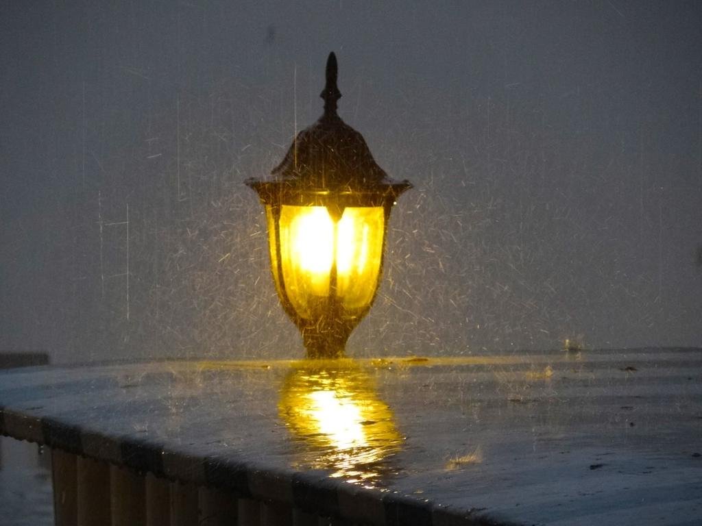 DSC04694.jpg DSC04694.jpg