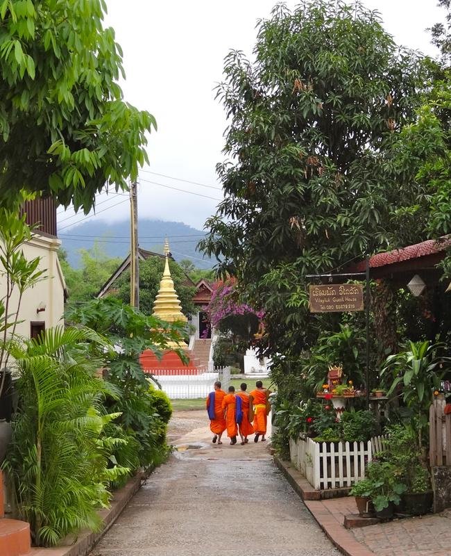 DSC04699.jpg DSC04699.jpg