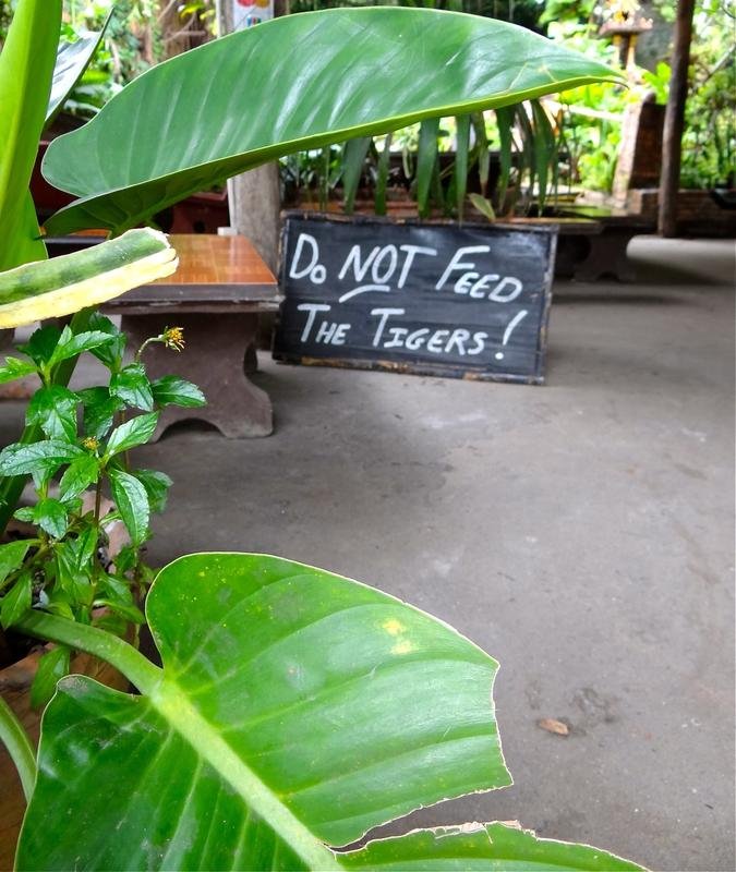 DSC04703.jpg DSC04703.jpg