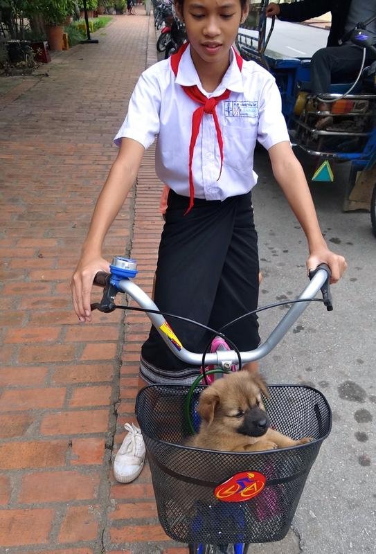 DSC04721.jpg DSC04721.jpg