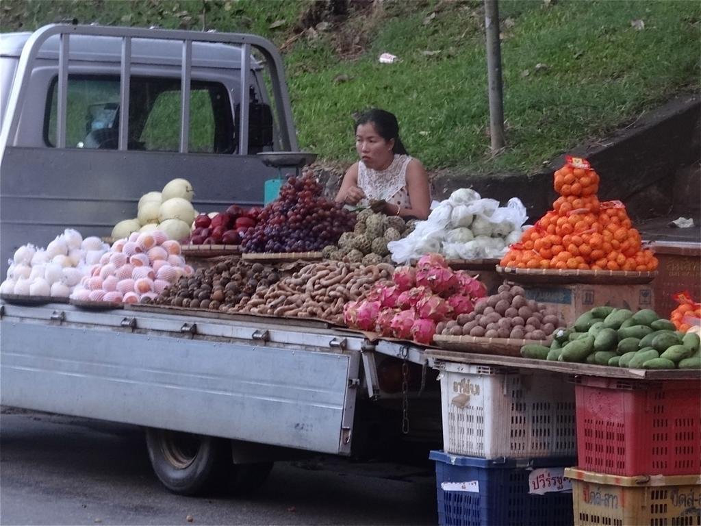 DSC04734.jpg DSC04734.jpg