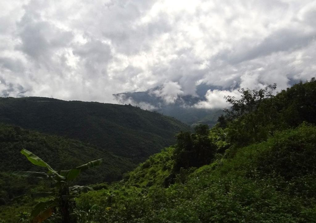 DSC04738.jpg DSC04738.jpg