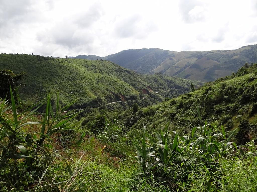 DSC04740.jpg DSC04740.jpg