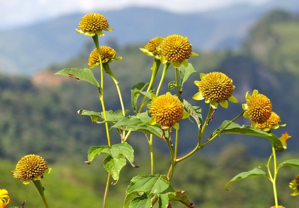 DSC04741.jpg DSC04741.jpg