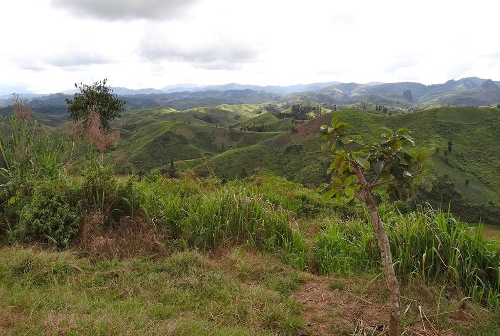 DSC04768.jpg DSC04768.jpg