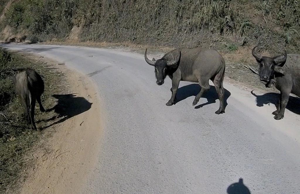 12400595_10206929309610050_3286996374882684060_n